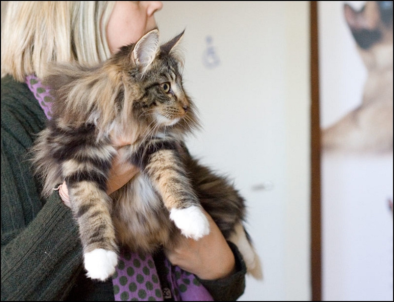 Herbon Jakobusland 3.jpg - Herbon Jakobusland